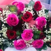 id_stella
