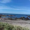 dominiquechoffatp