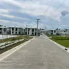 hapilayf_1