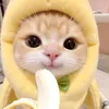 unboxwn