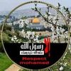 hanaahadi9222