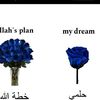 amouny95