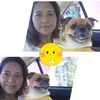 luckygooddog