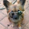 omgsohilariou5