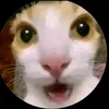 aeminhcuthethoi.hehehe