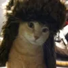 uwu.sok