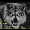 dyai5iau7vy1