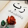 user40263384311307