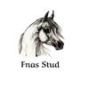 fnas.stud