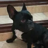 veroymario424