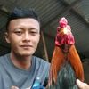 userseptian5