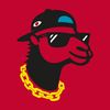 J CHAMBA