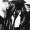 apocalypttica