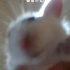 ggu_29
