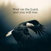 gods_plan419