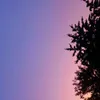 rubie_2023_xx