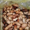 nguyenpk135