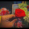 🌼অবাধ্য নারী🌼