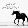 noufa_36