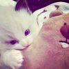 helen_nn6