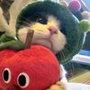 chiki_4cc