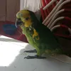 pablob194