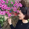 nguyenhongsam1973