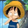 bang_nardy204