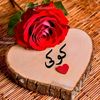 waelkouki116