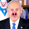 israel.kon