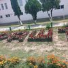 #Mehrona#Т. Ч. Tursunzade
