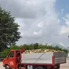 danielebianchini12