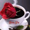 dy82umszwlzl