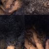 wayanna16