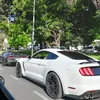 benja_2261