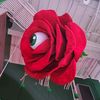 slowlymoley
