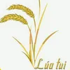 Lúa Tui 🌾