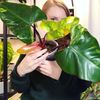 plantfrienddownthestreet