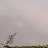 utti_08