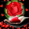 ❤زوزو❤