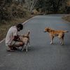 malindu_creation0