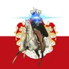 skividinico