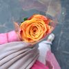 amaniounn3
