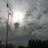 ji_sa9