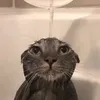hihi7432
