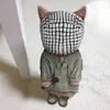 slurpy_fishy_