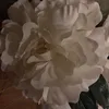 celine_ggd