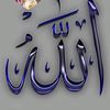 ezz.salah31