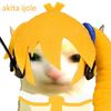 akita_ijole