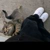farahmohamed5293